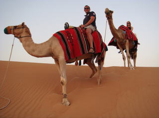 �h�o�C�@Camel riding�@�C���[�W